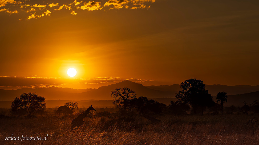 Sunset / Zonsondergang - Mikumi National Park