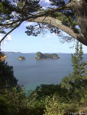 Coromandel