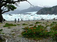 Onelli Gletsjer / Onelli Glacier - Los Glaciares NP, Argentina