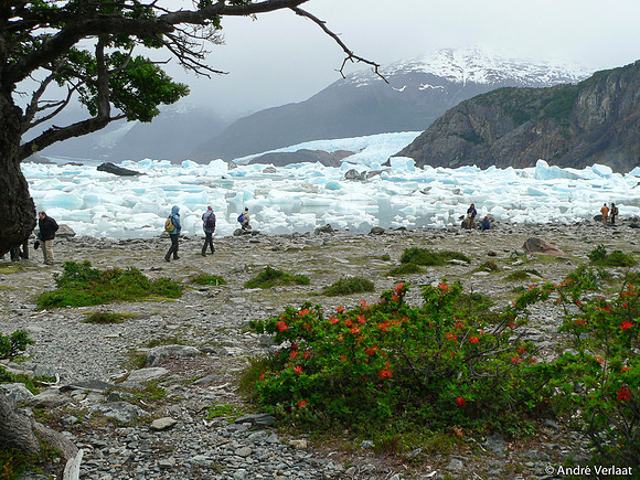 Onelli Gletsjer / Onelli Glacier - Los Glaciares NP, Argentina