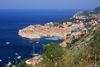Old Town / Dubrovnic - Croatia