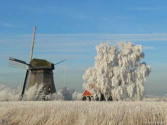 Molen / Windmill - Rustenburg, The Netherlands