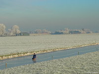 Priksleeën in de Berkmeer - Obdam, The Netherlands
