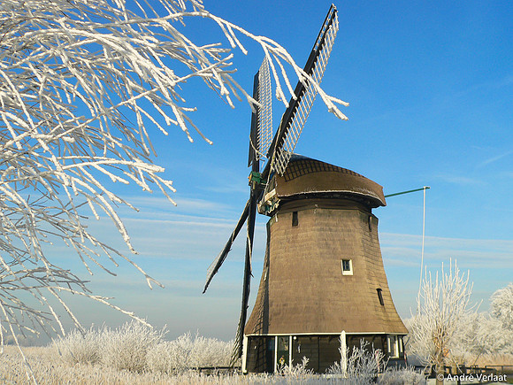 Molen / Windmill - Rustenburg, The Netherlands