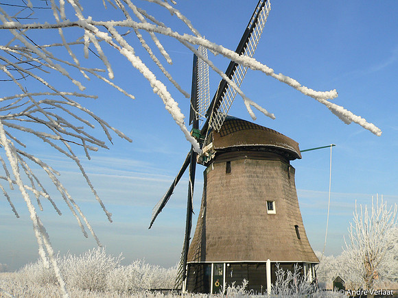 Molen / Windmill - Rustenburg, The Netherlands