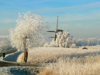 Molens / Windmills - Rustenburg, The Netherlands