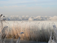 Berkmeer - Obdam, The Netherlands