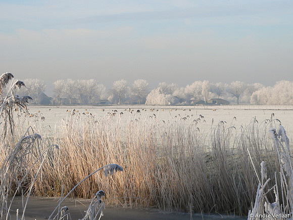 Berkmeer - Obdam, The Netherlands