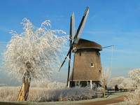 Molen / Windmill - Rustenburg, The Netherlands
