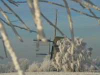 Molens / Windmills - Rustenburg, The Netherlands