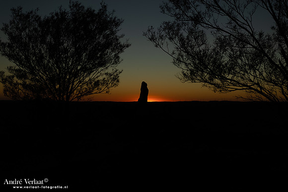 The Living Desert and Sculptures / Broken Hill - NSW